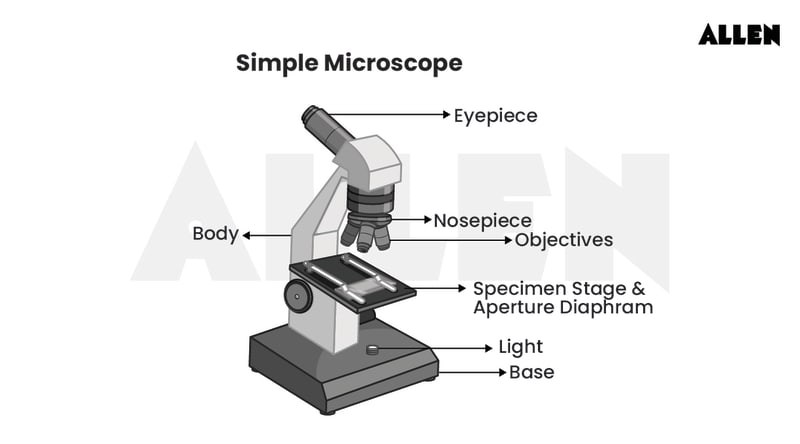 Compound Microscope – Features, Uses & Working Principle